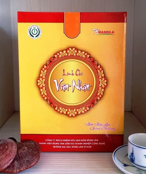 Linh Chi Việt Nhật 1