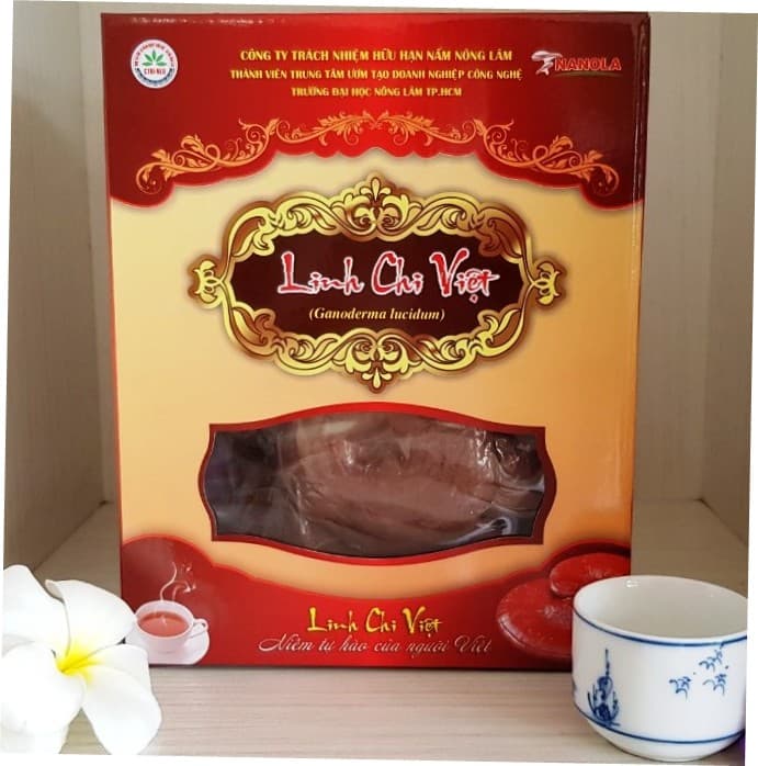 Nấm Linh Chi Việt