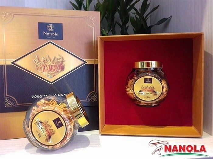 Nâm Đông Trùng Hạ thảo 20g